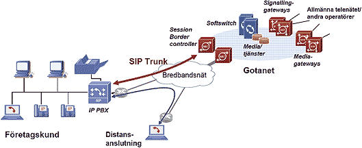 sip_trunk